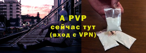 PSILOCYBIN Горно-Алтайск
