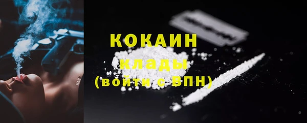 PSILOCYBIN Горно-Алтайск