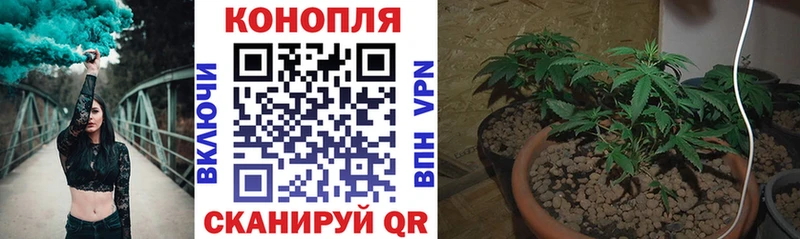 Марихуана тримм  цена наркотик  Меленки 